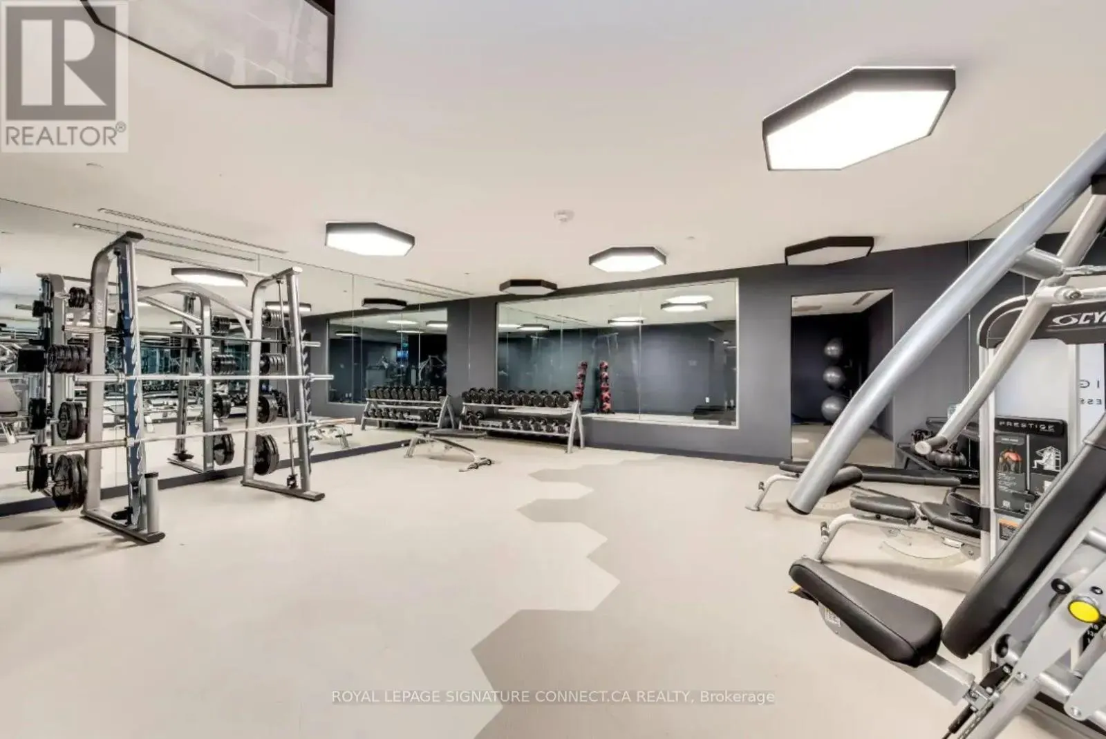 2006 - 28 FREELAND STREET