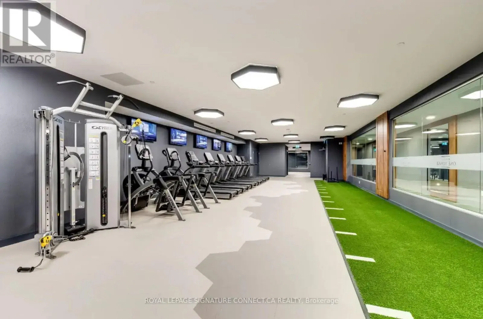 2006 - 28 FREELAND STREET