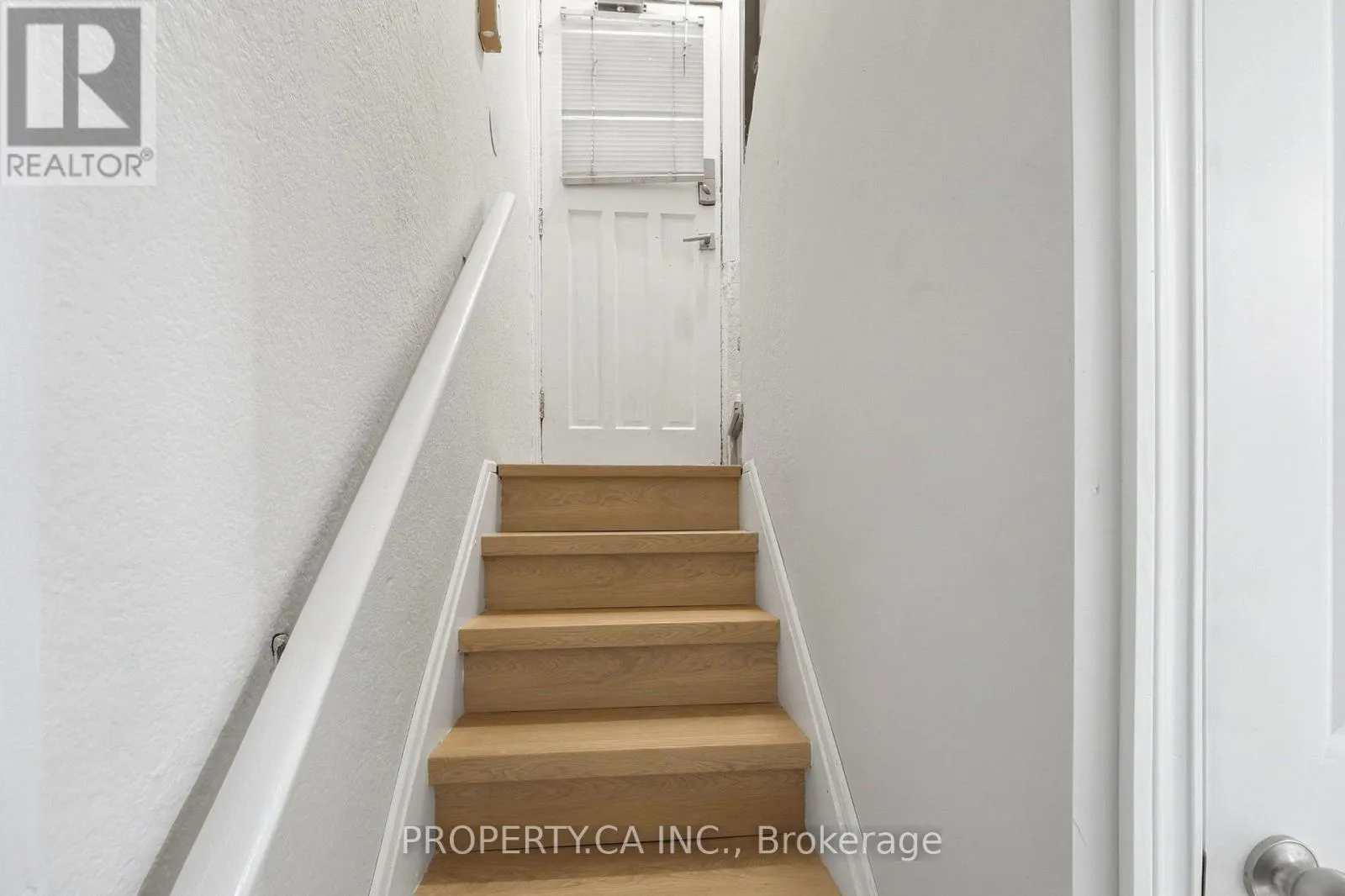 BASEMENT - 117 CHERITAN AVENUE