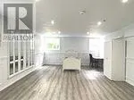 BASEMENT - 133 YORK MILLS ROAD