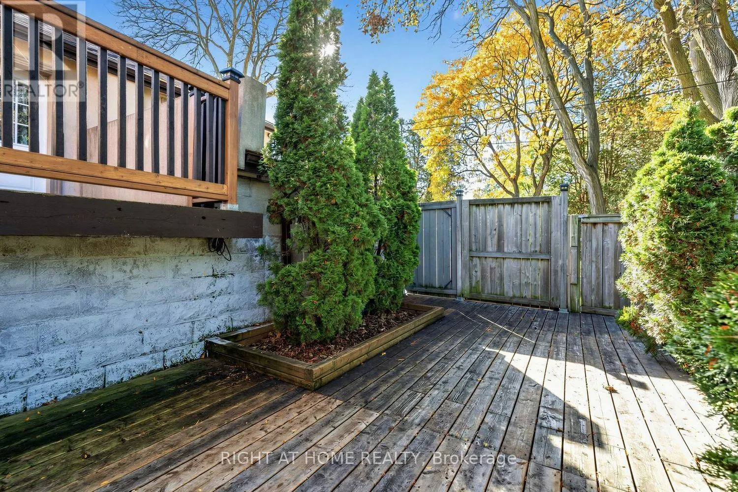 44 CONNAUGHT AVENUE