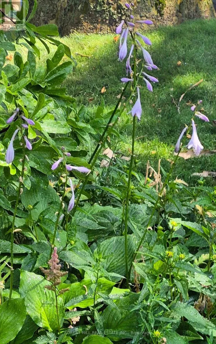 44 RIDGE HILL DRIVE