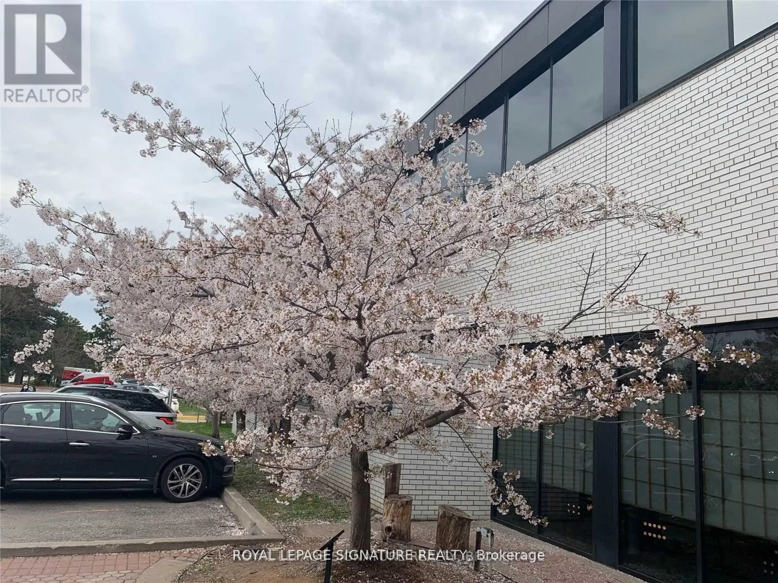 272 - 6 SAKURA WAY