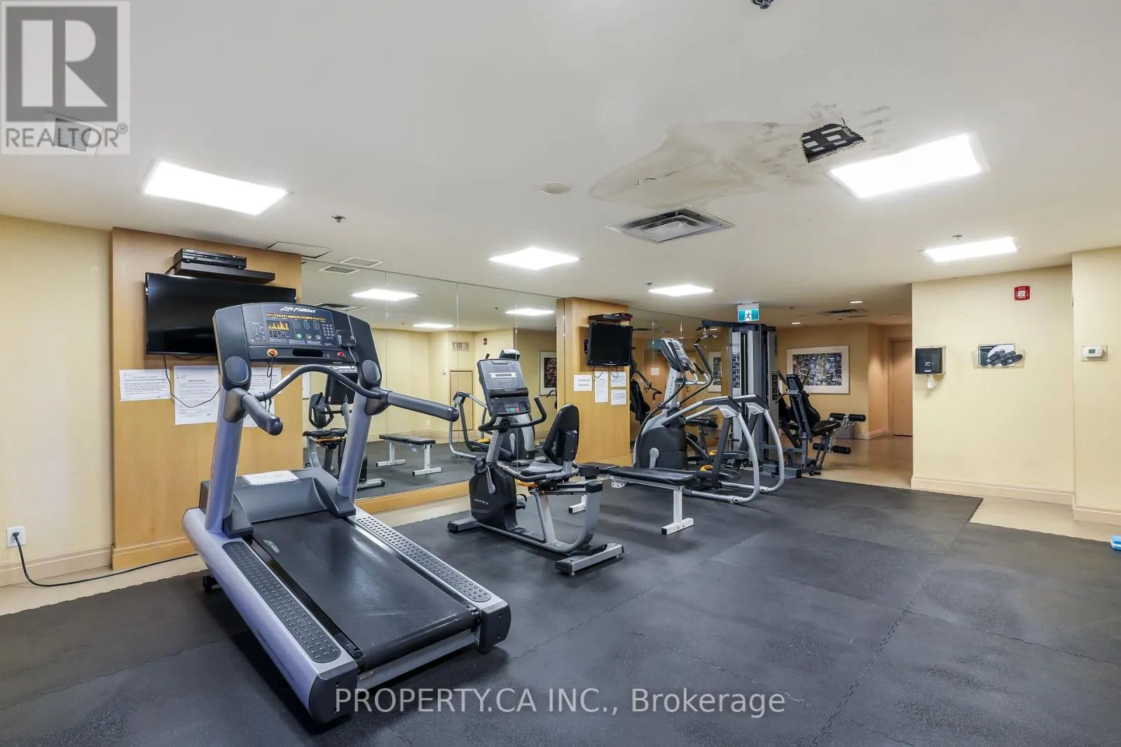 1203 - 736 SPADINA AVENUE
