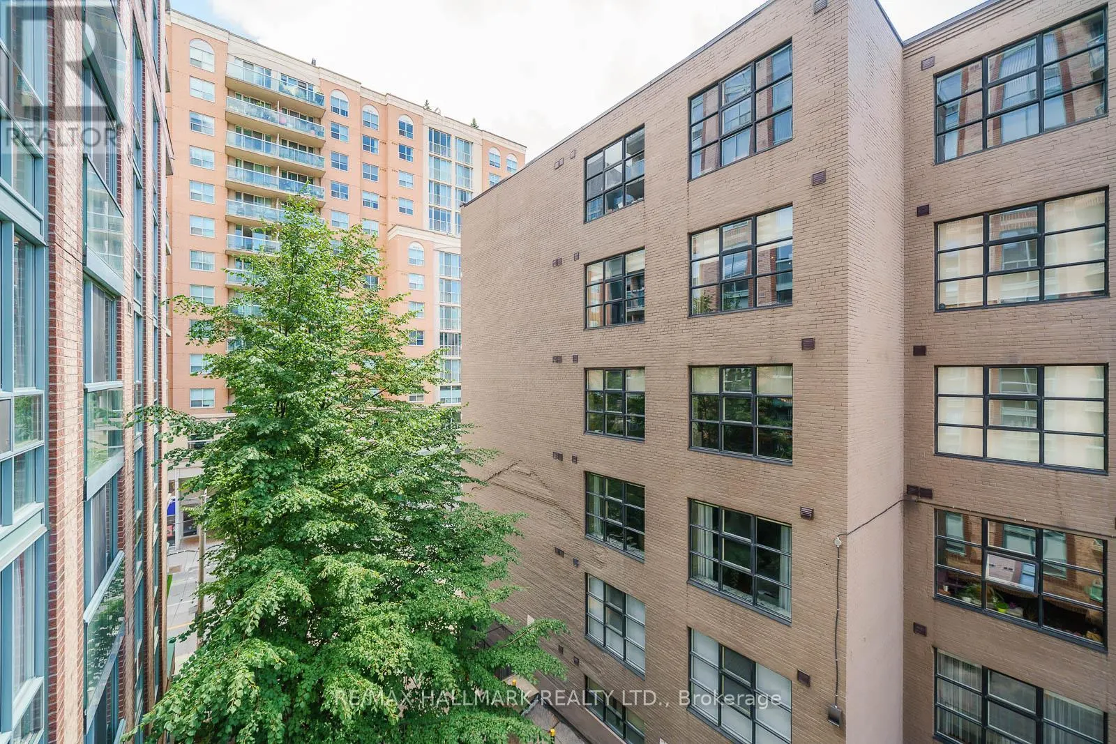 501 - 311 RICHMOND STREET E