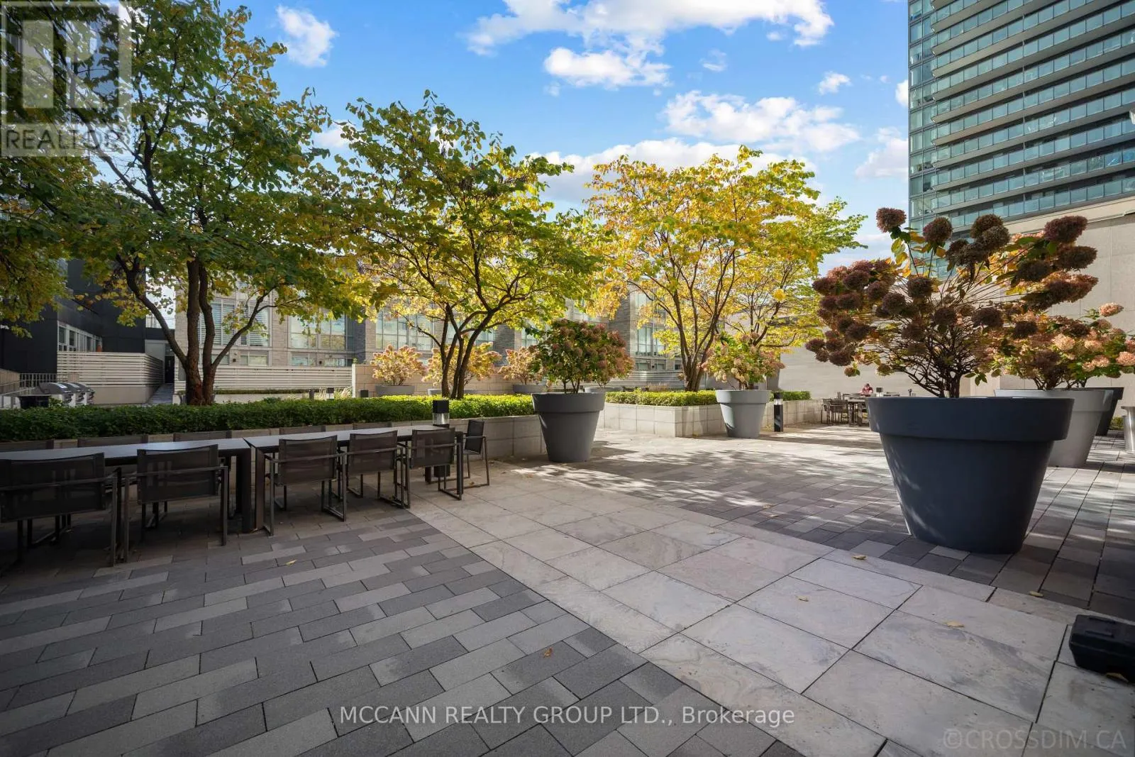 1602 - 111 ST CLAIR AVENUE W