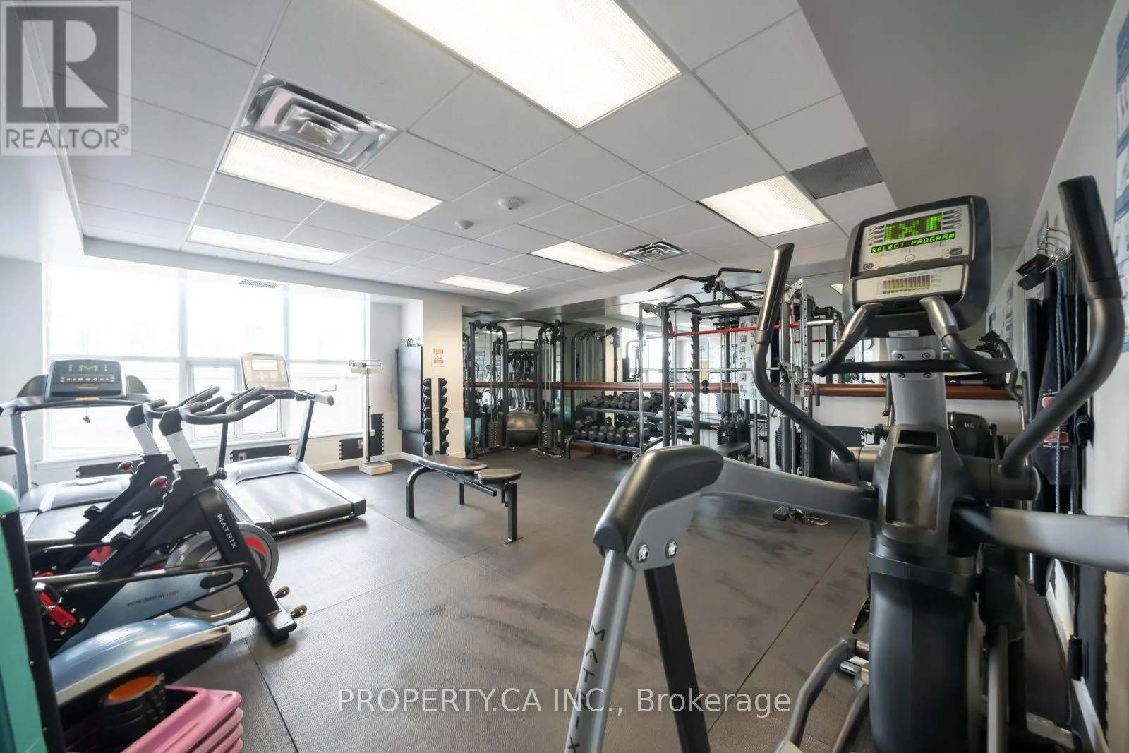 1004 - 801 KING STREET W
