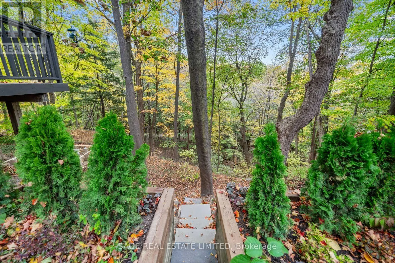 63 ASTLEY AVENUE