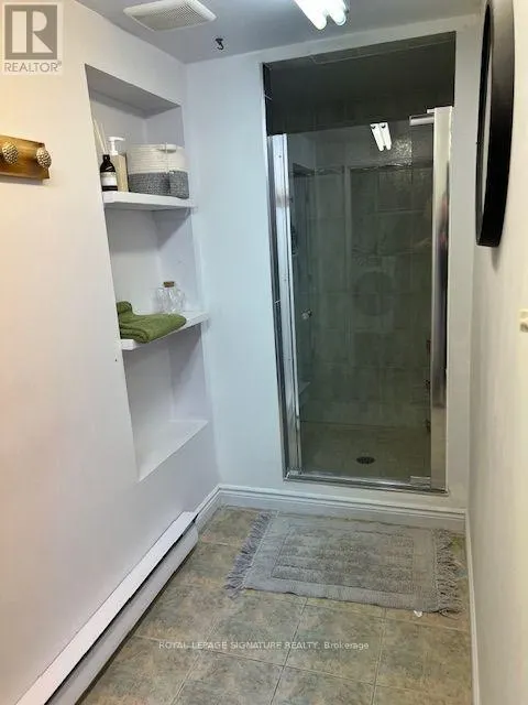 LOWER - 208 CARLTON STREET