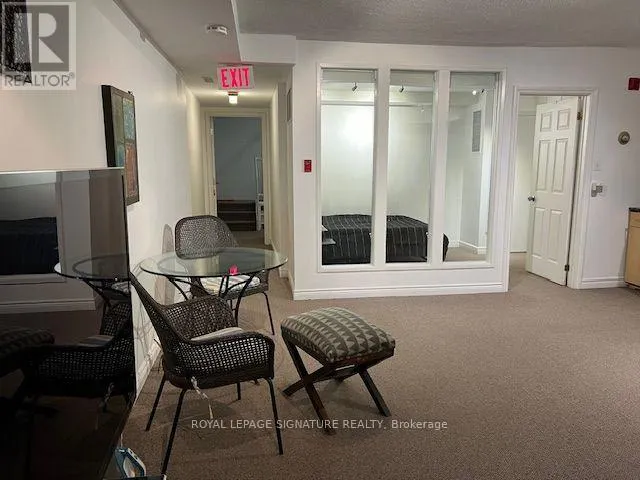 LOWER - 208 CARLTON STREET