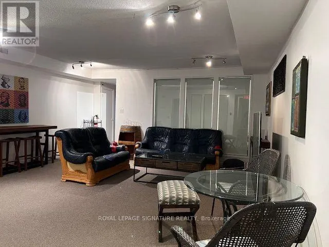 LOWER - 208 CARLTON STREET
