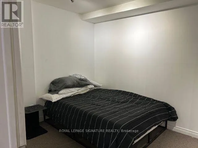 LOWER - 208 CARLTON STREET