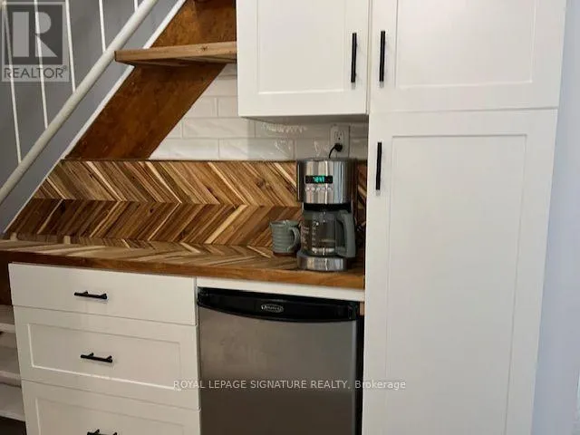 LOWER - 208 CARLTON STREET