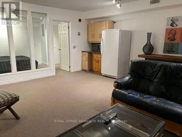 LOWER - 208 CARLTON STREET