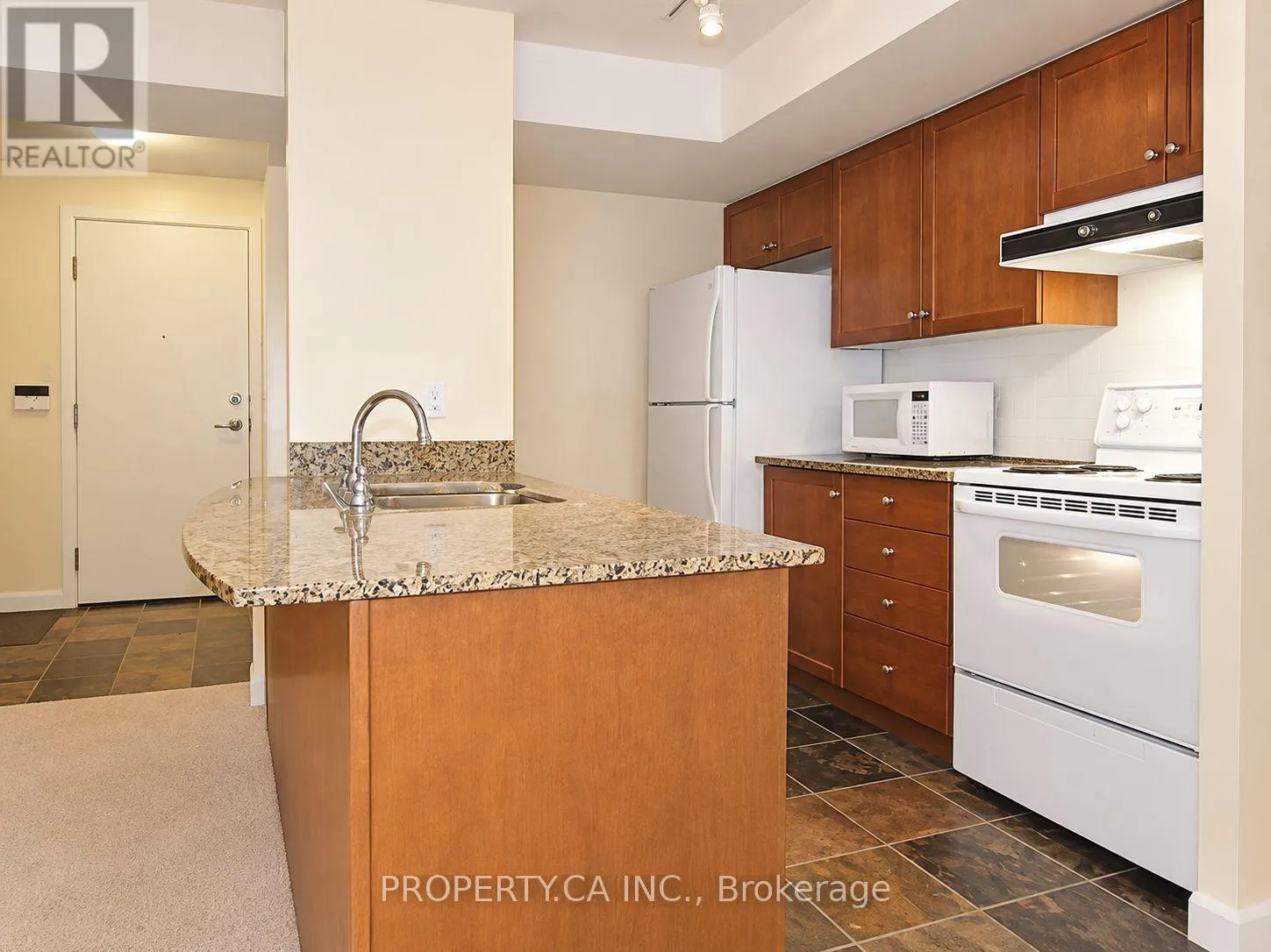 452 - 313 RICHMOND STREET E