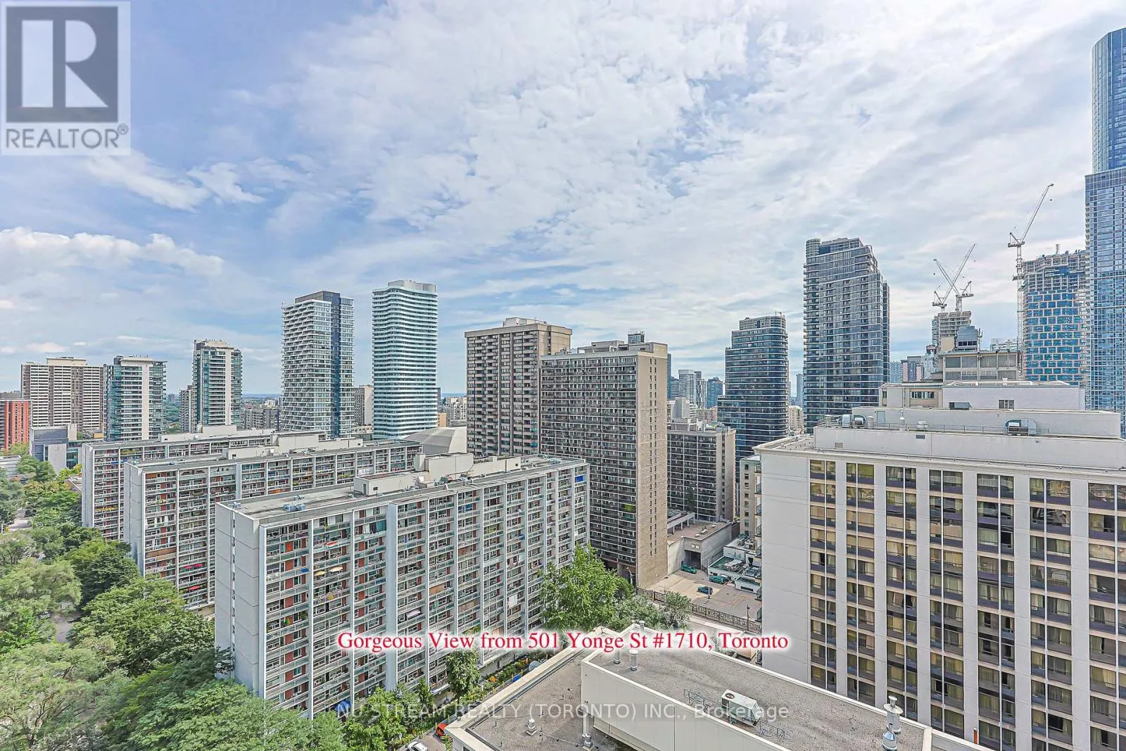 1710 - 501 YONGE STREET