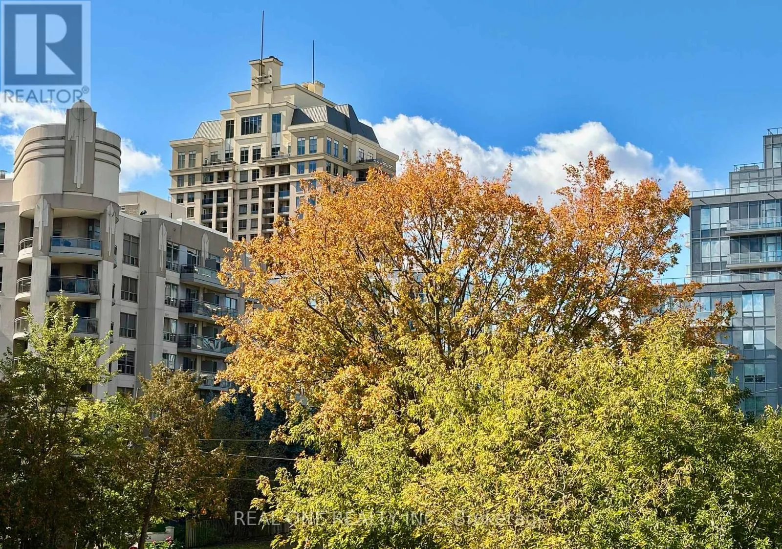 308 - 591 SHEPPARD AVENUE E