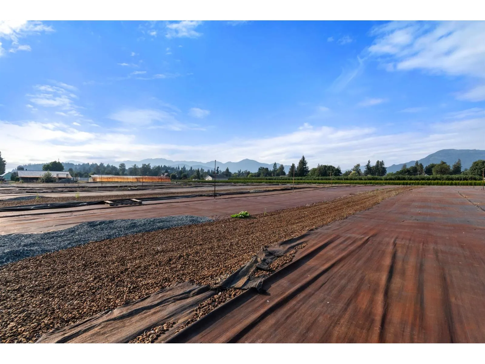 9850 BANFORD ROAD|East Chilliwack