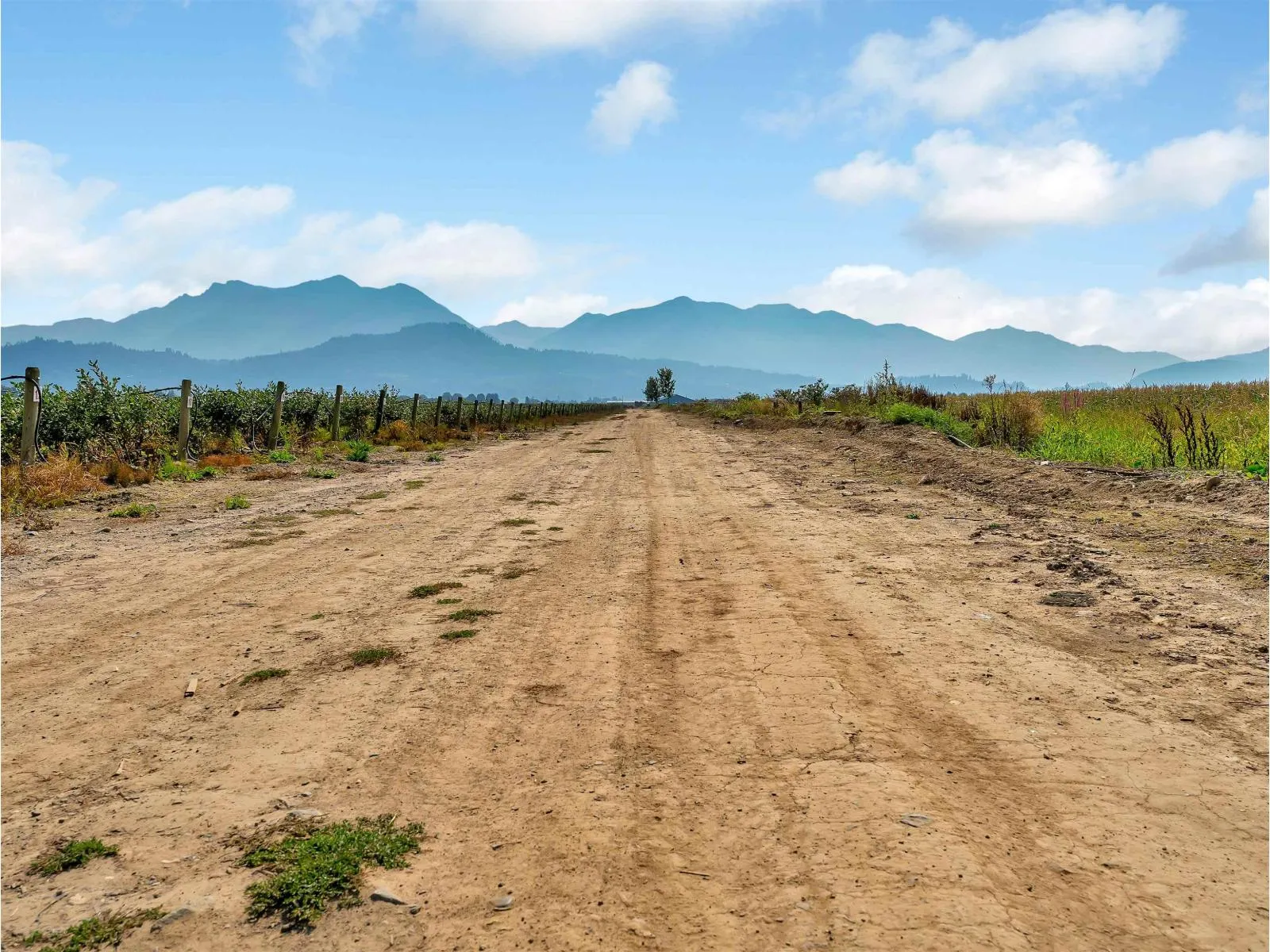 46950 CHILLIWACK CENTRAL ROAD|East Chilliwack