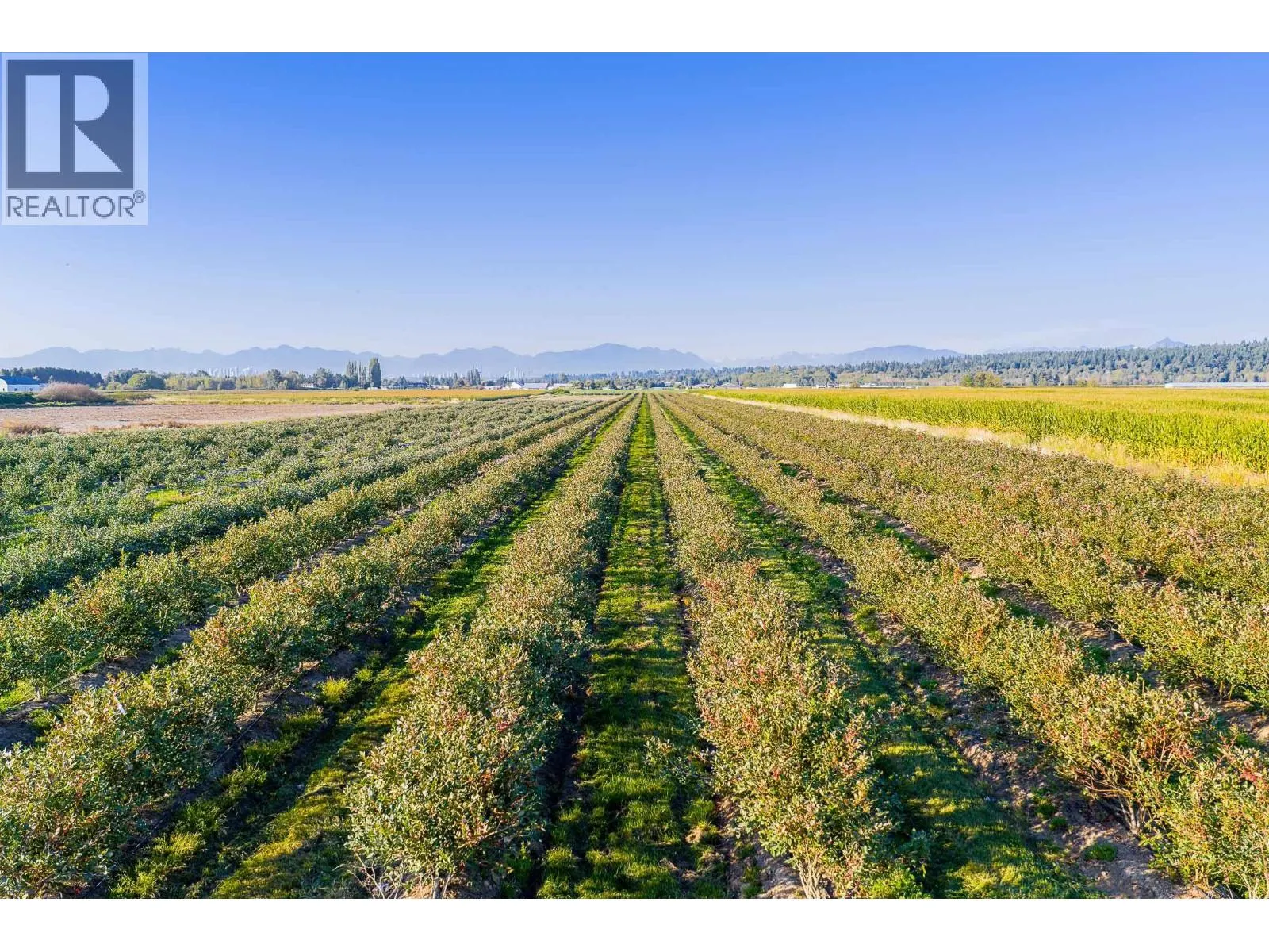 10677 LADNER TRUNK ROAD