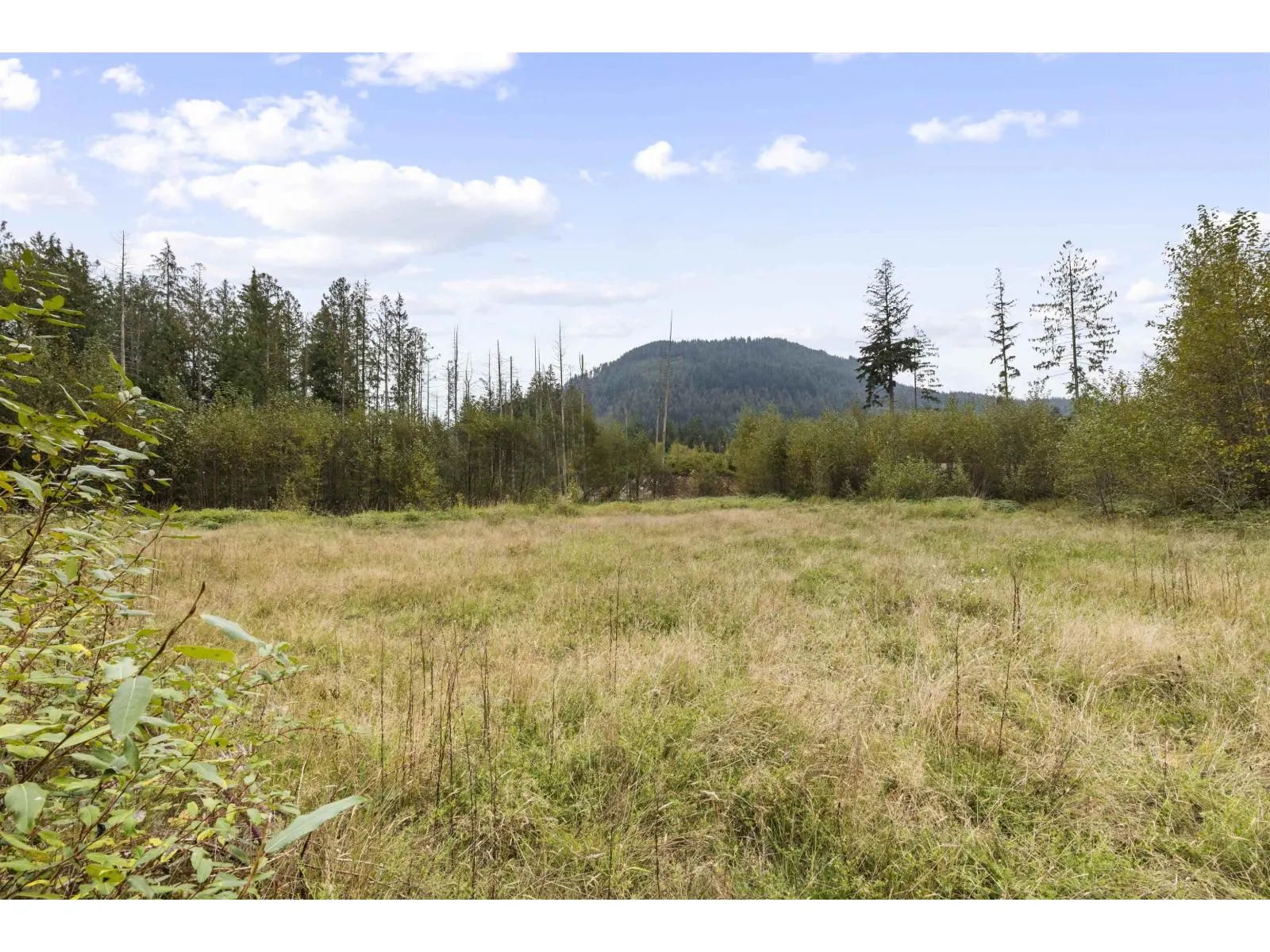 32482 DEWDNEY TRUNK ROAD