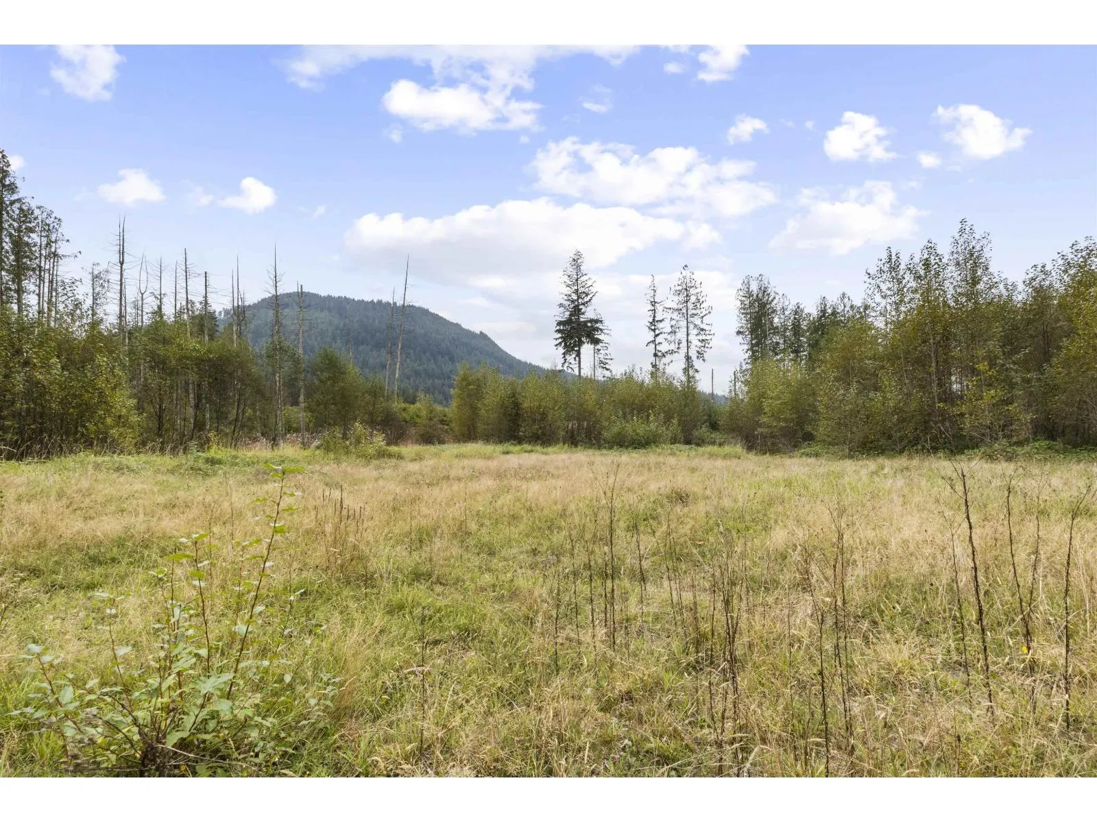 32482 DEWDNEY TRUNK ROAD