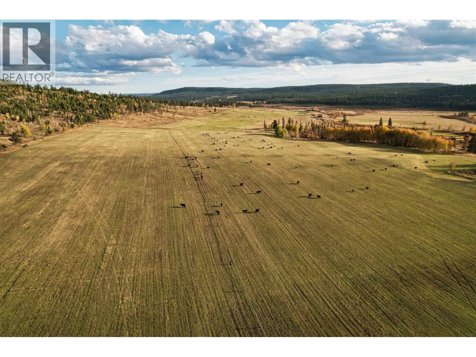 2944 CHILCOTIN-MELDRUM ROAD