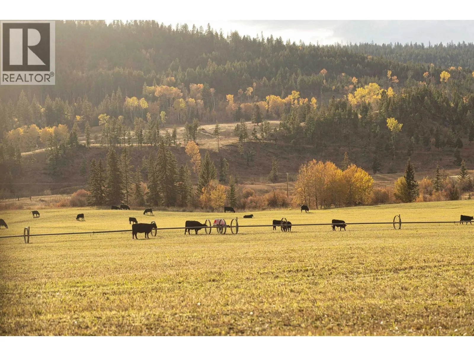 2944 CHILCOTIN-MELDRUM ROAD