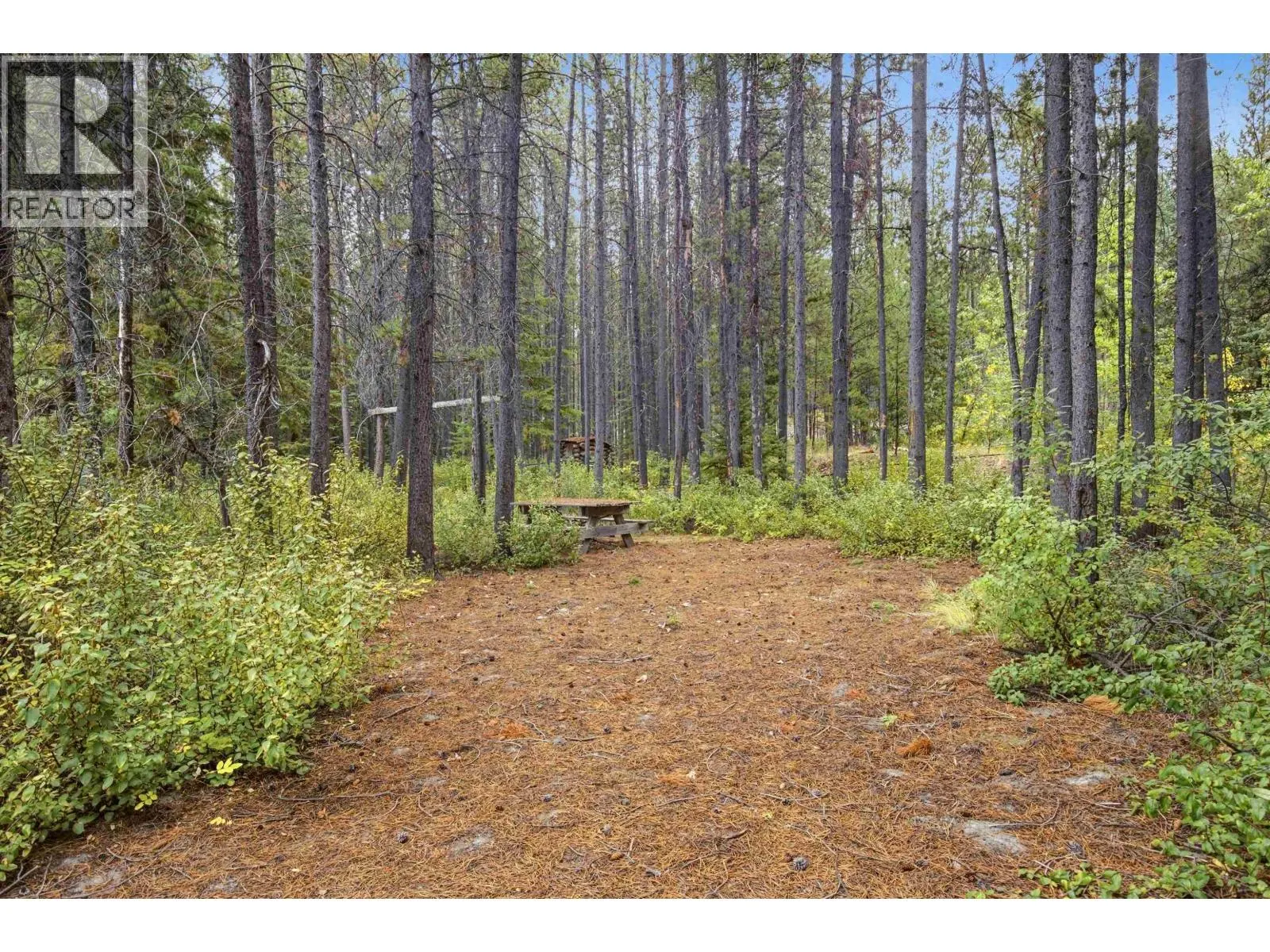 19579 CHILCOTIN 20 HIGHWAY