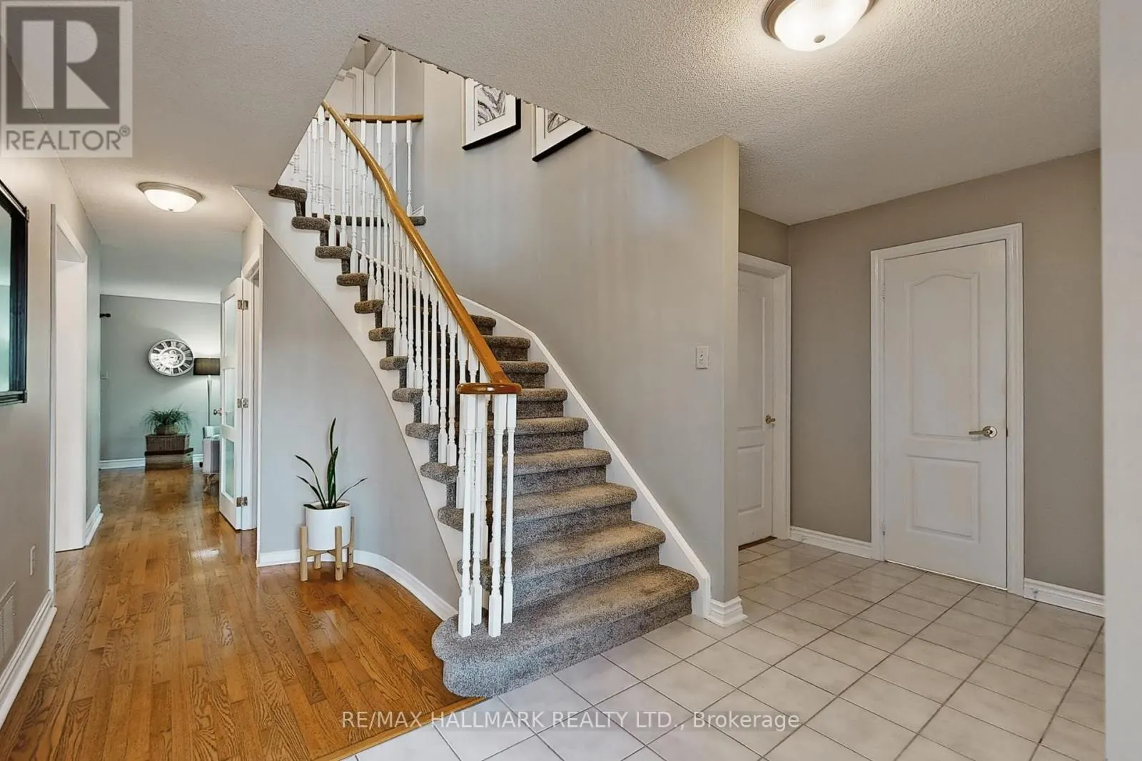 8 STEARNS COURT