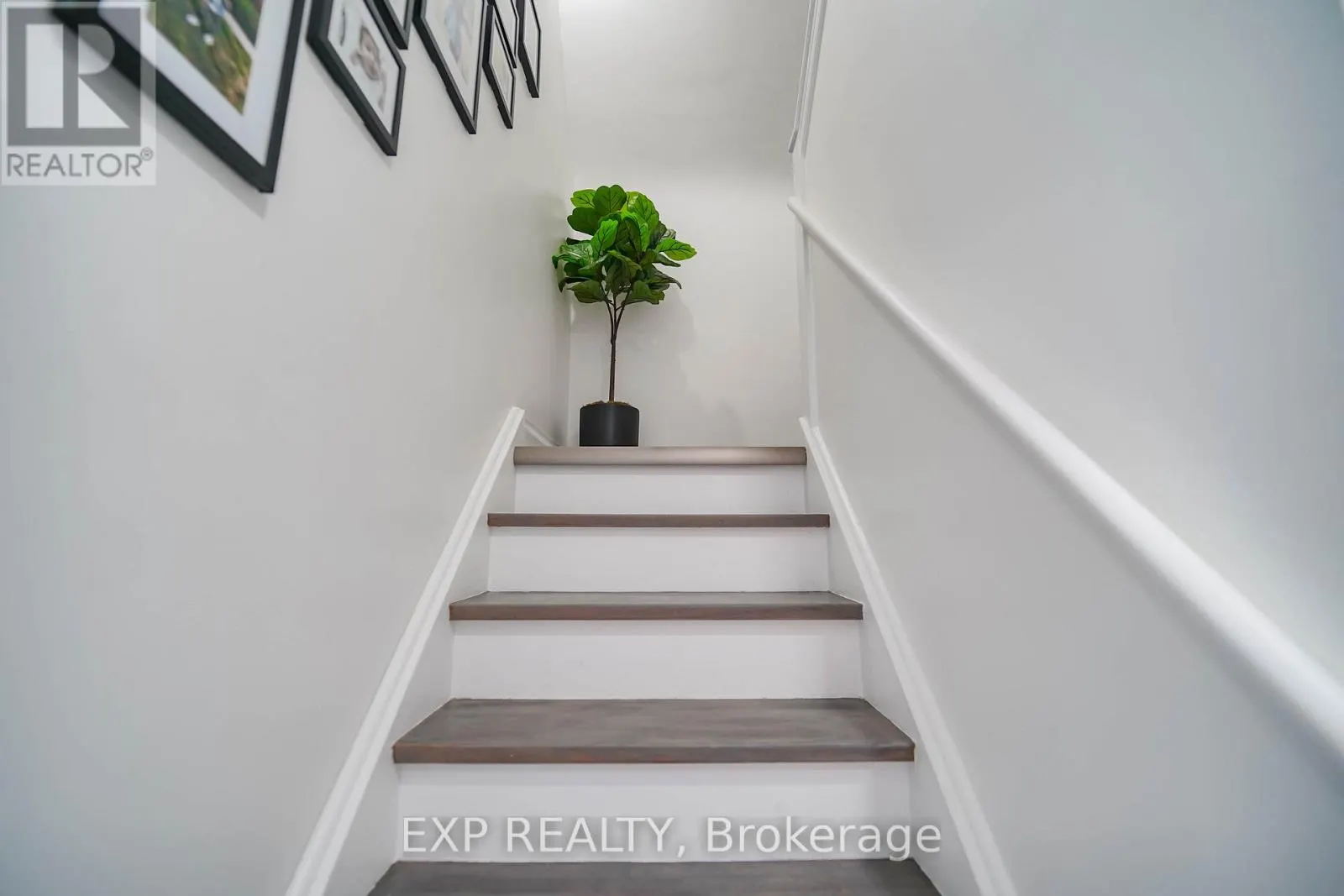 43 SOUTHMEAD ROAD