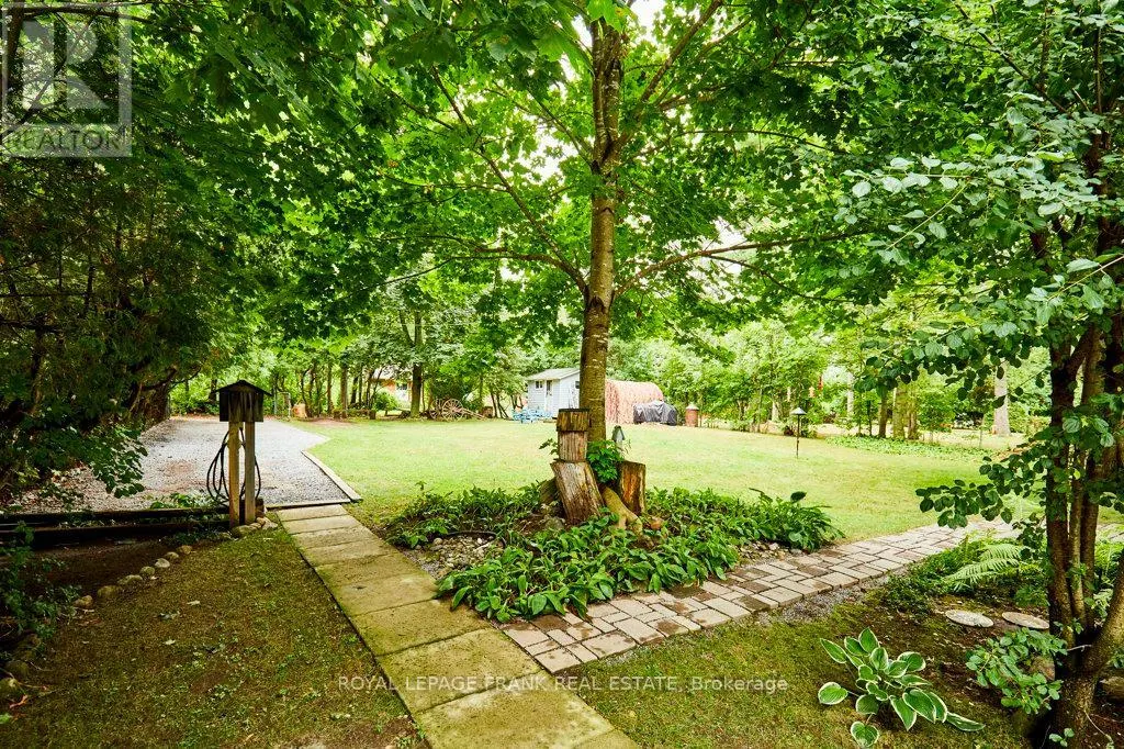 28 JOHNSTONE LANE