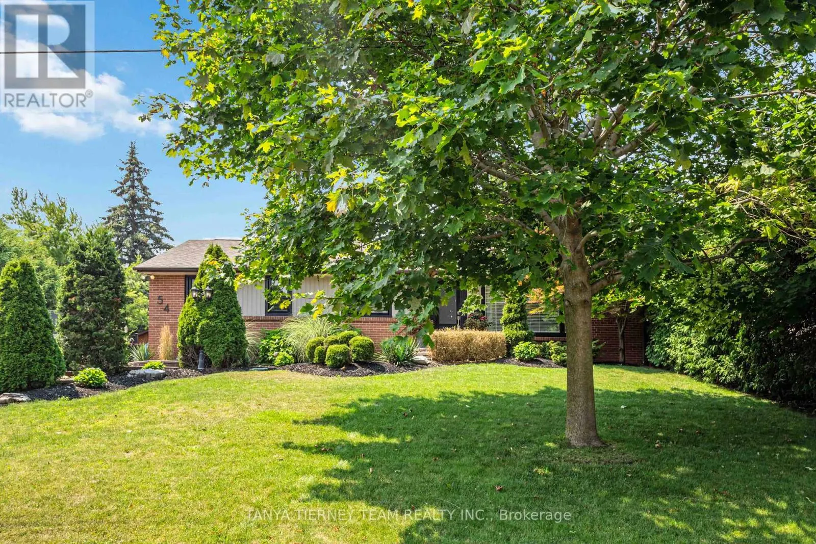 54 MONTGOMERY AVENUE
