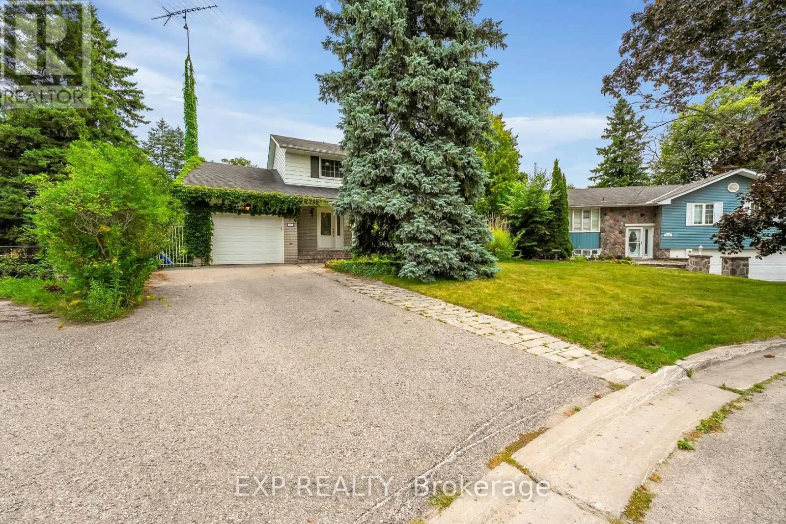 223 VIOLET COURT