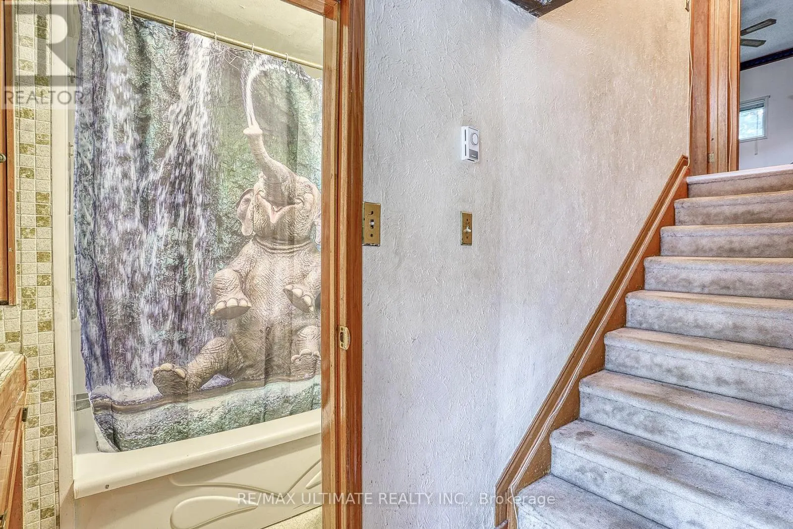 544 BELLAMY ROAD N