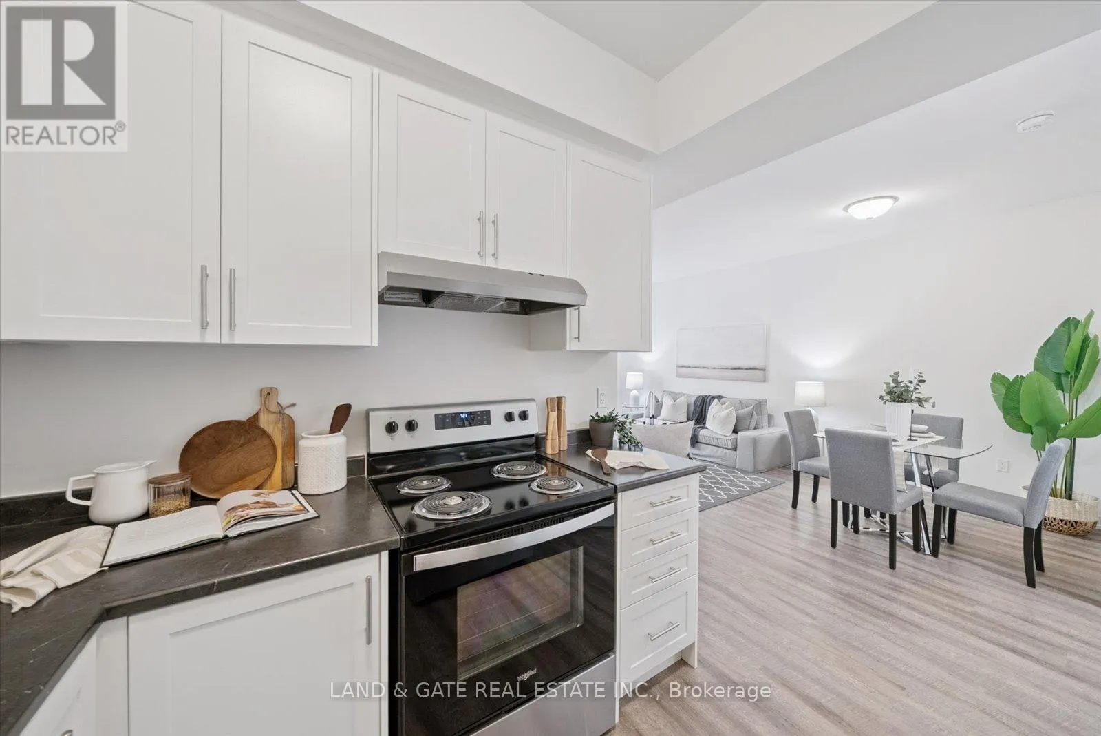 4 - 223 ALBERT STREET, #4