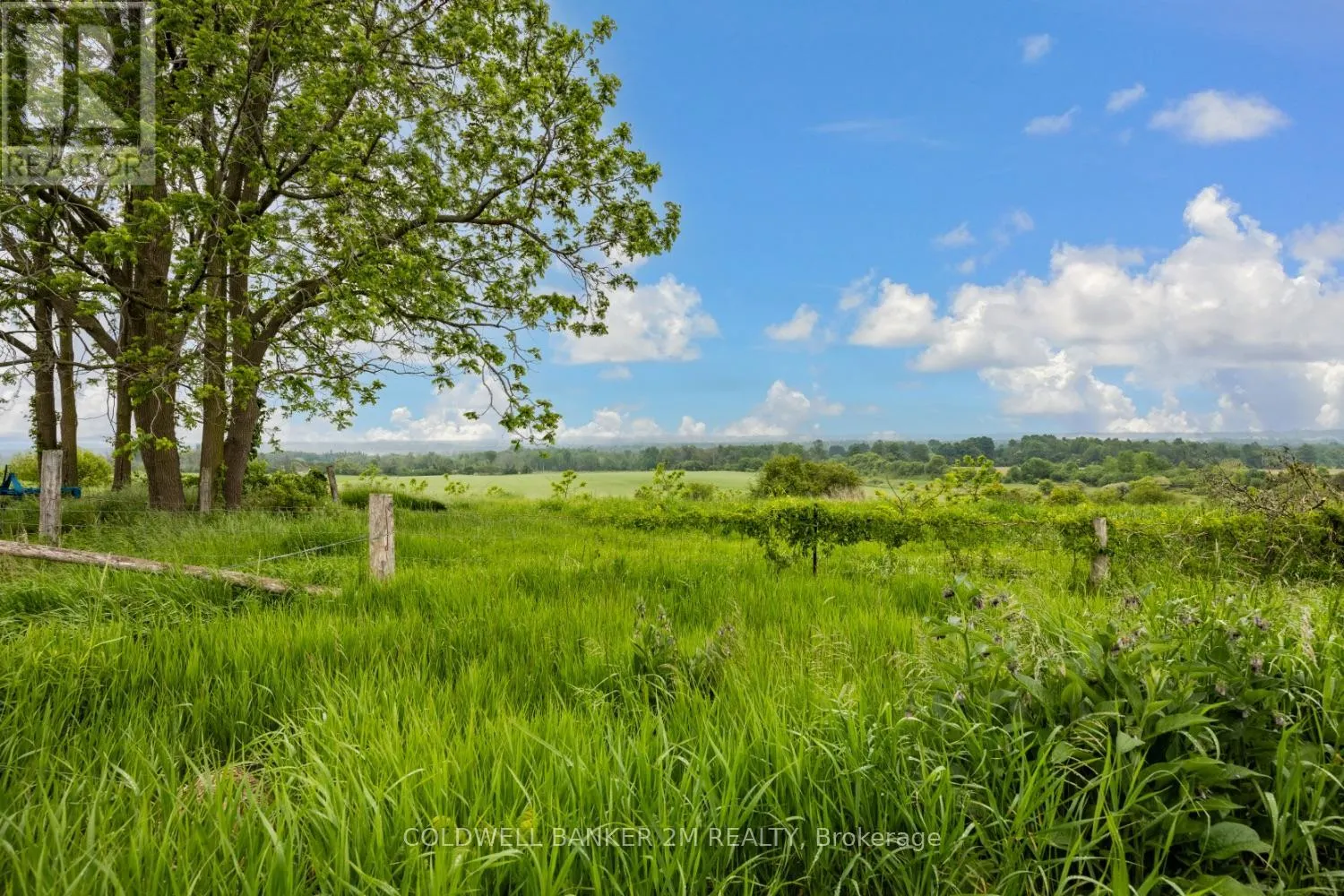 12855 OLD SIMCOE ROAD