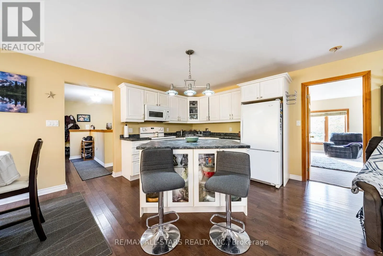 100 SNOW RIDGE COURT