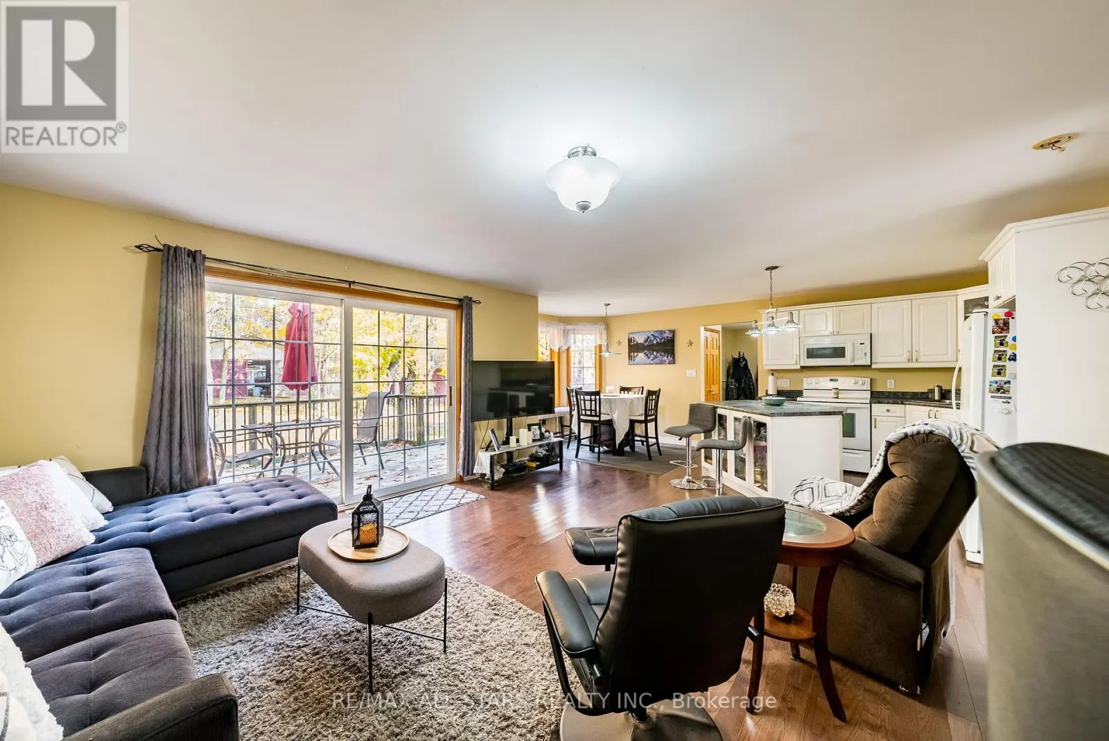 100 SNOW RIDGE COURT