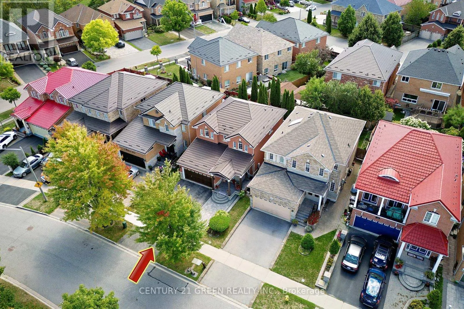 8 LAMPMAN DRIVE