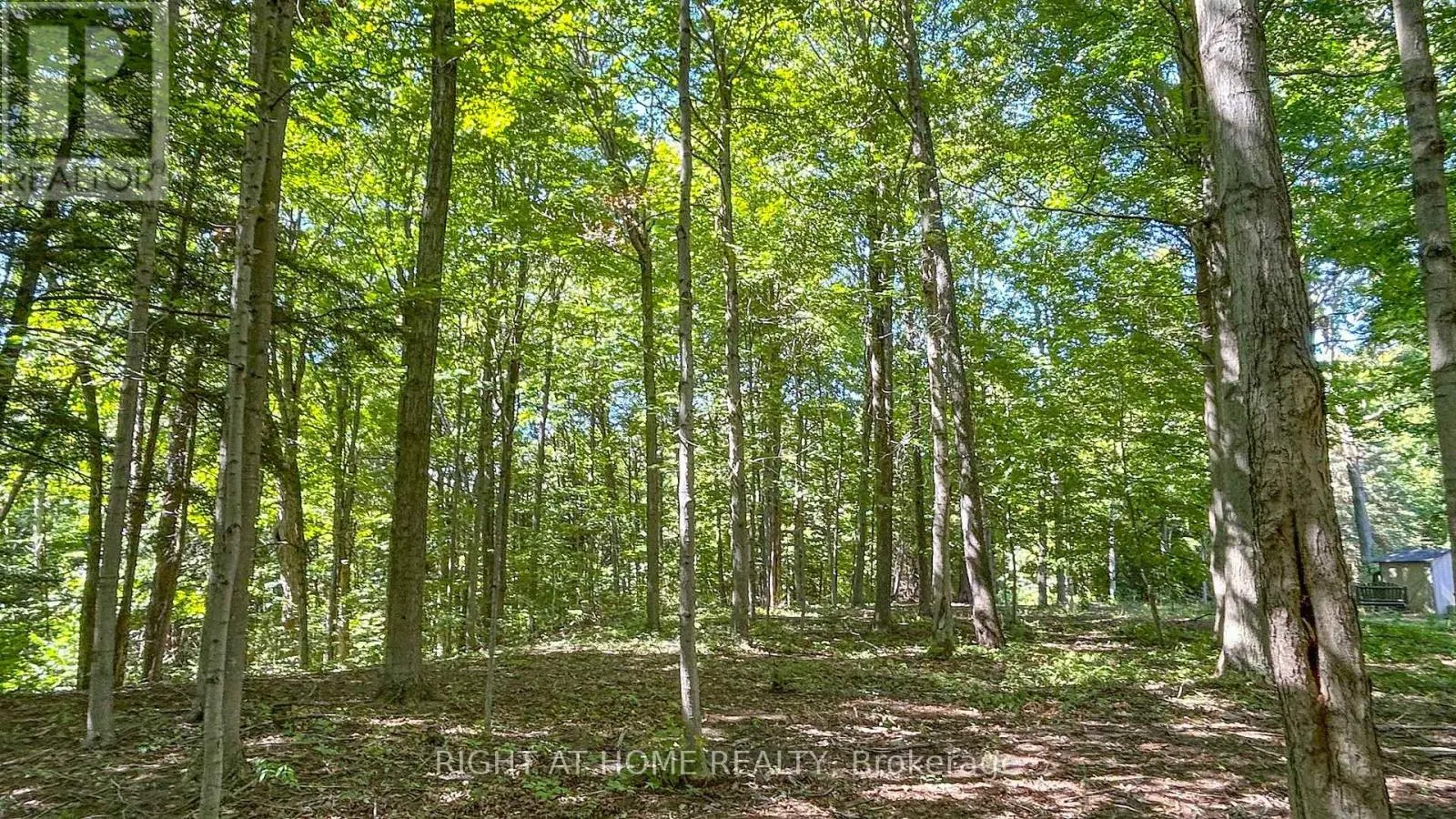27 TIMBERLANE COURT