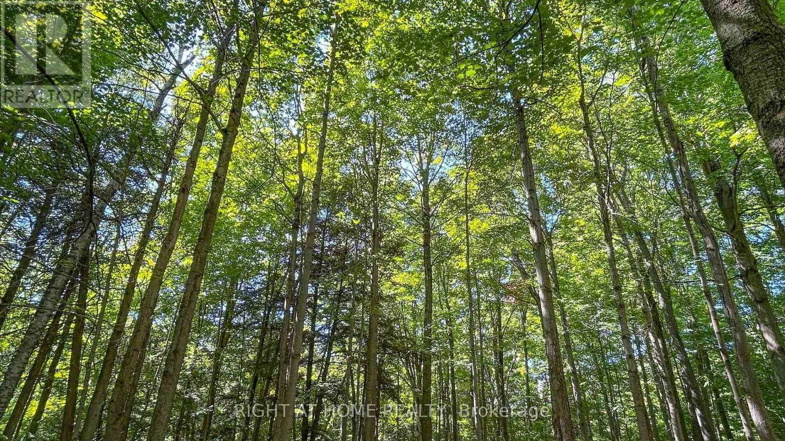 27 TIMBERLANE COURT