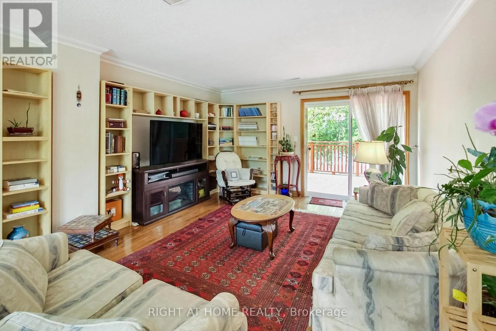 8 SURATY AVENUE