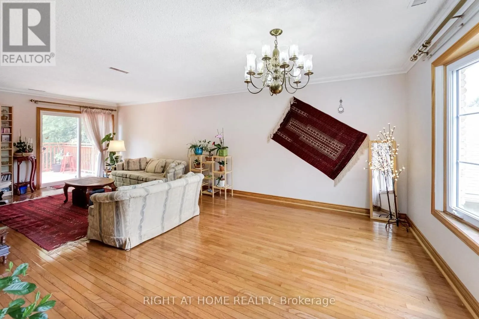 8 SURATY AVENUE
