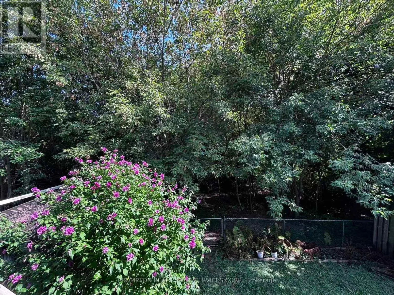 UPPER BSMT - 83 GARDEN STREET