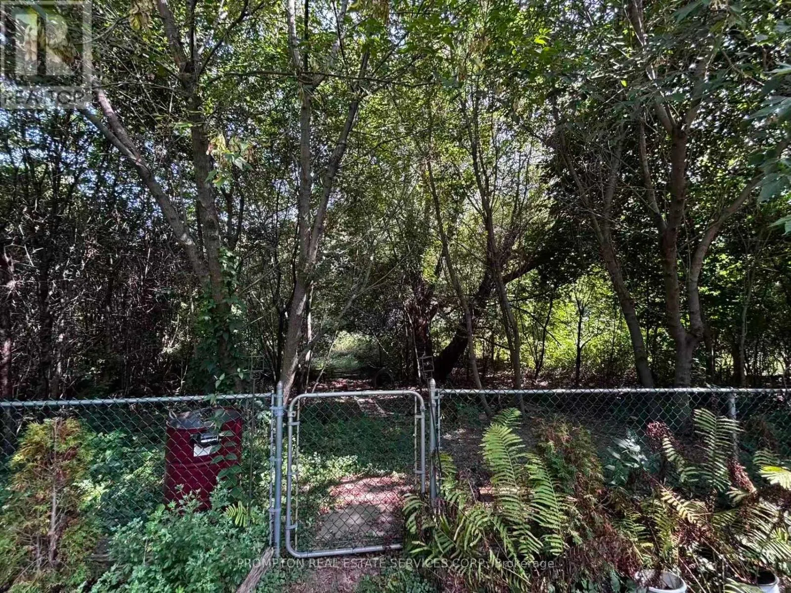 LOWER BSMT - 83 GARDEN STREET