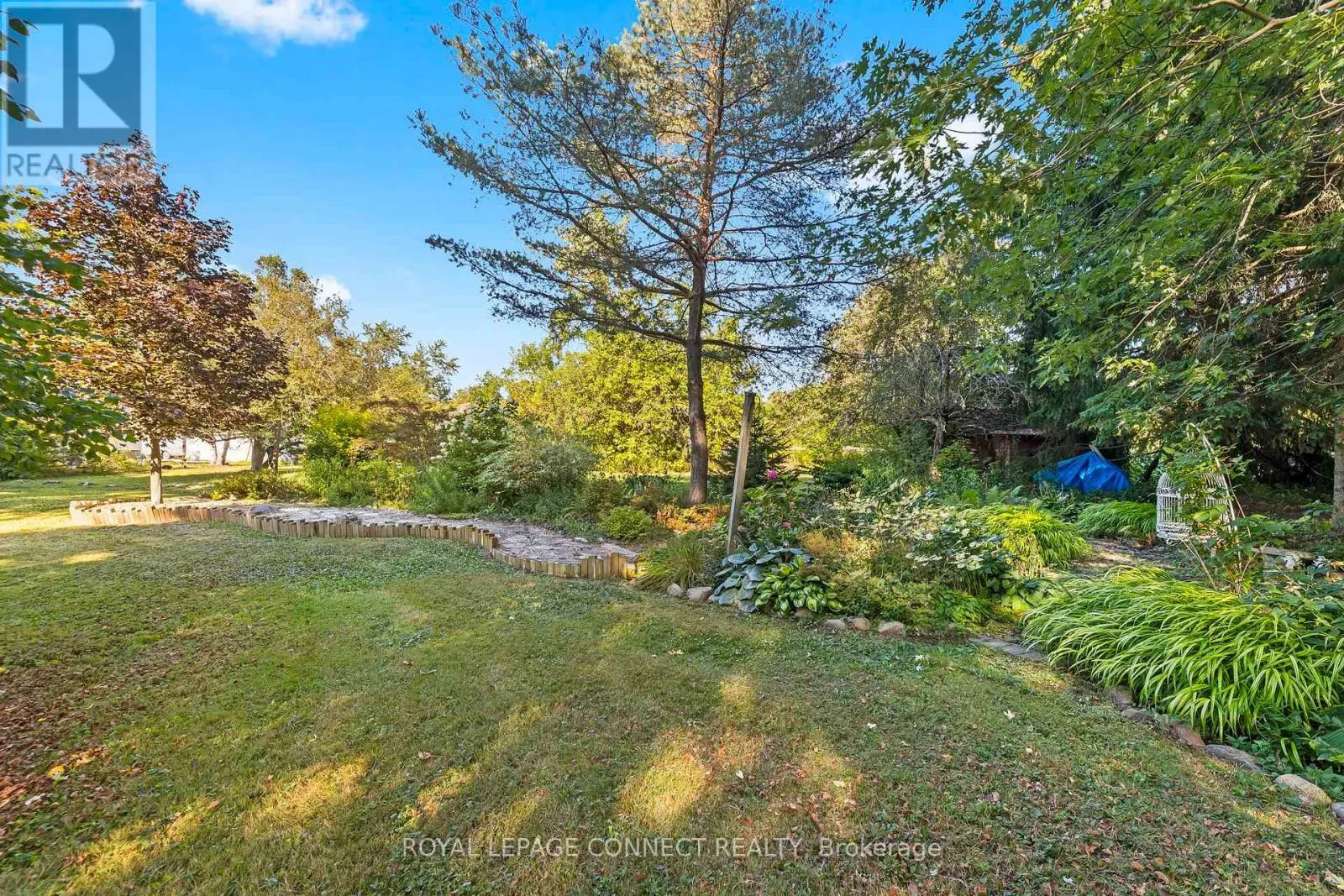 35 LAWSON ROAD