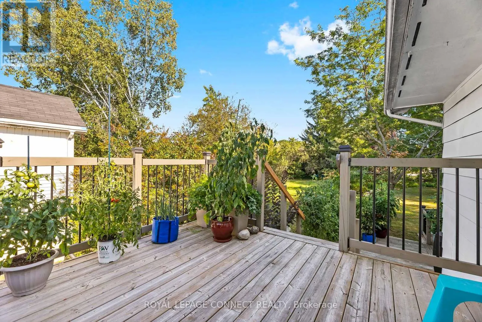 35 LAWSON ROAD