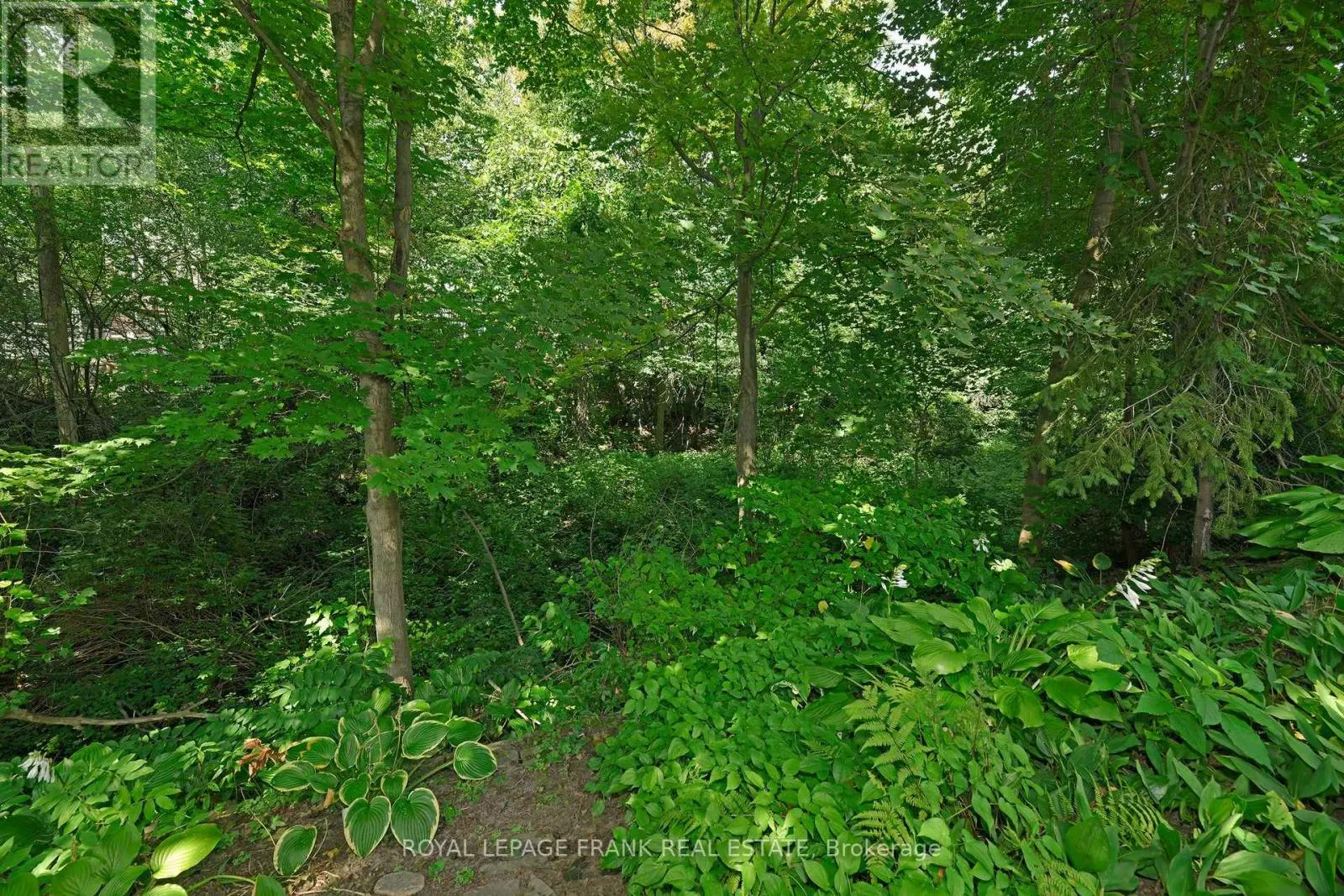 1104 OLD PYE COURT