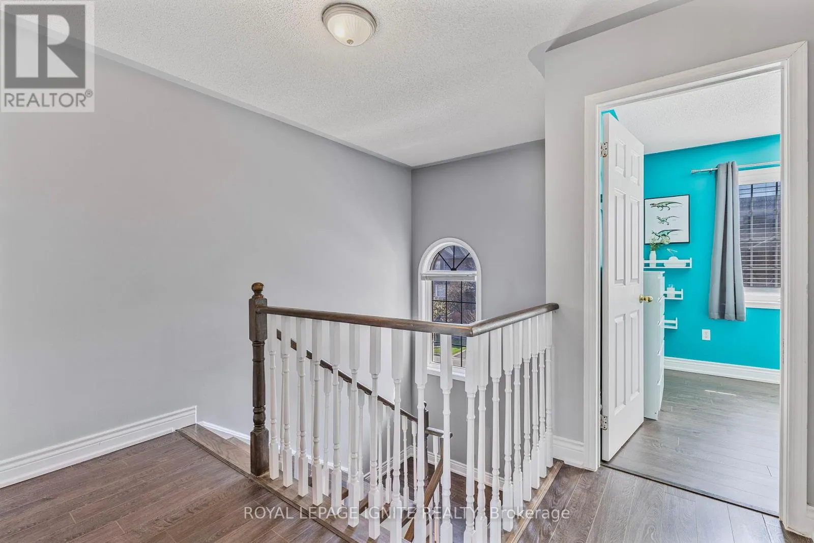 12 ELI SHACKLETON COURT